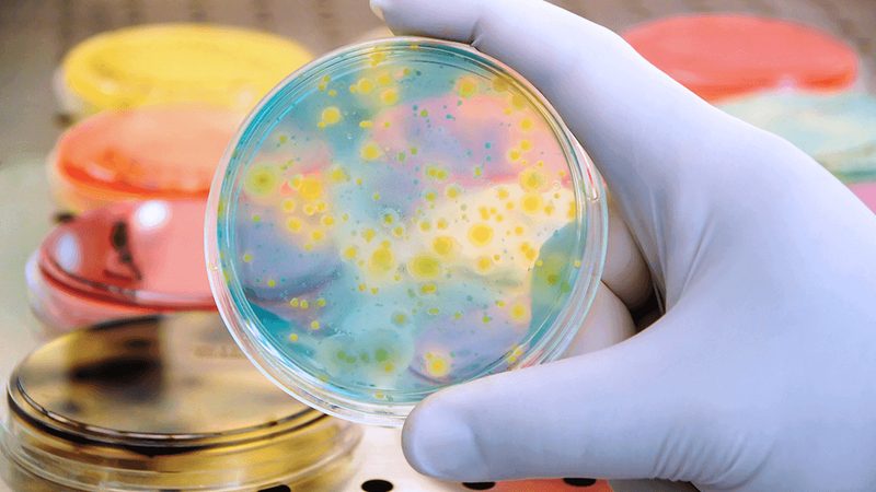 小分子CDMO：如何选择合适的生产厂家？**