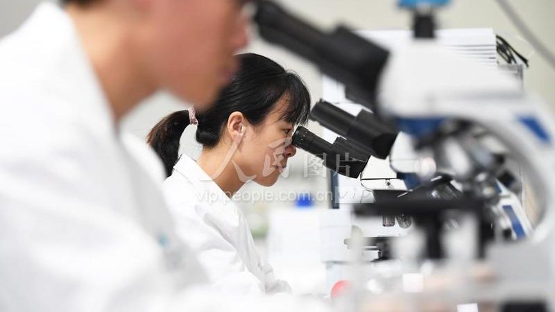 揭秘生物试剂定制服务周期：从设计到交付的幕后旅程