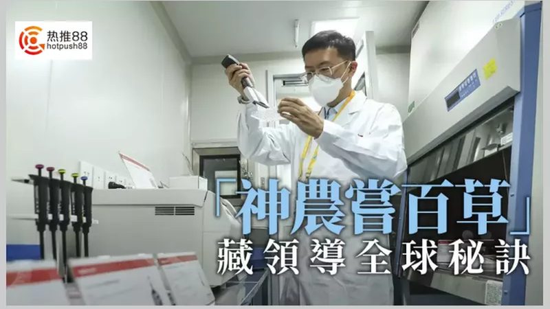 CDMO项目评估：如何从实战案例中洞察关键要素