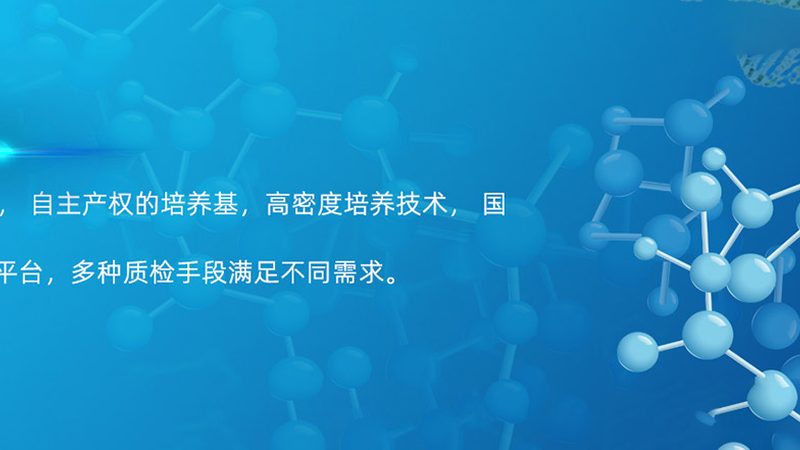 上海CDMO公司报价，哪些因素影响成本？**