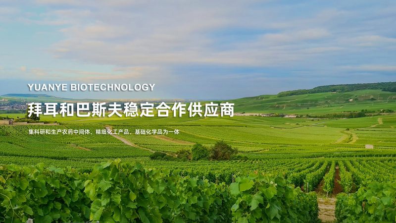 如何选择北京地区的CRO公司？关键因素与误区解析