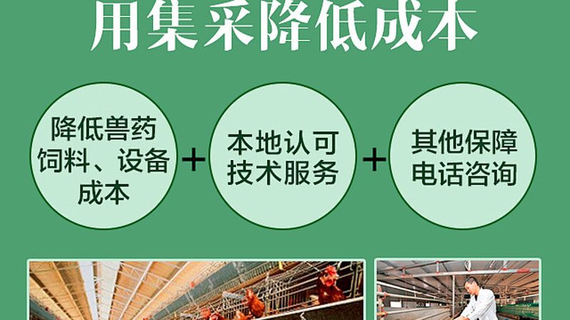 荧光引物合成：揭秘精准医疗的关键环节**