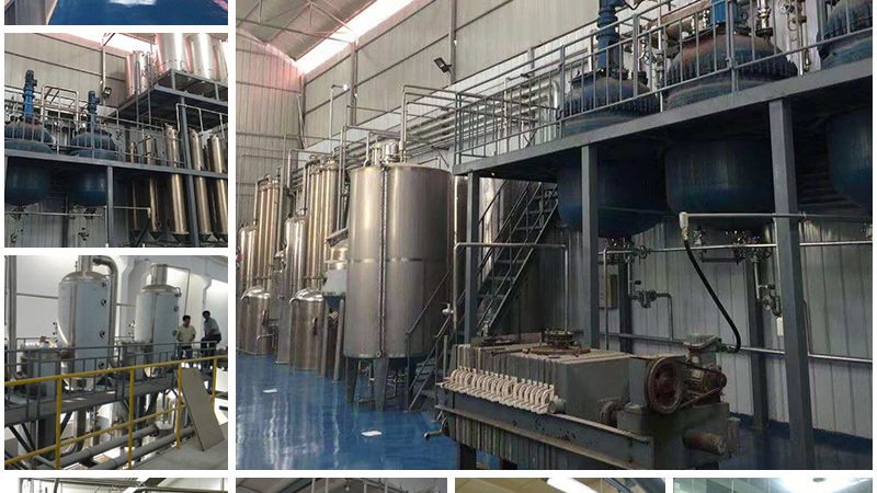 小分子CDMO绿色化学工艺：揭秘高效环保的药物合成之道**