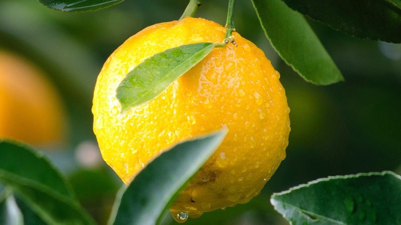 生物医药外包工艺流程设计：关键步骤与注意事项**